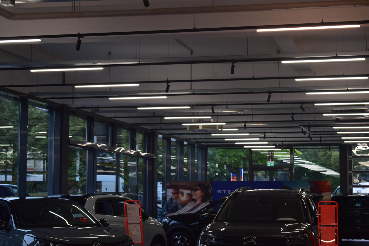 DSC_0428 Kopie_web